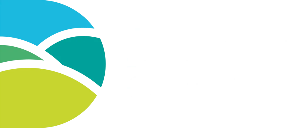 Dorset Council
